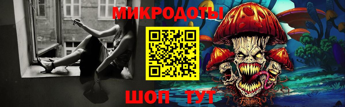 где продают наркотики  Псилоцибиновые грибы GOLDEN TEACHER  Вход с VPN  Клинцы 